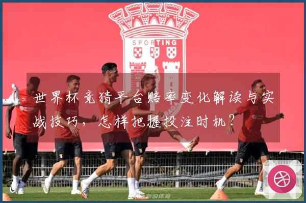 世界杯竞猜平台赔率变化解读与实战技巧，怎样把握投注时机？