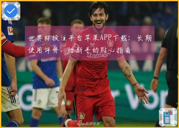 世界杯投注平台苹果APP下载:长期使用评价,给新手的贴心指南