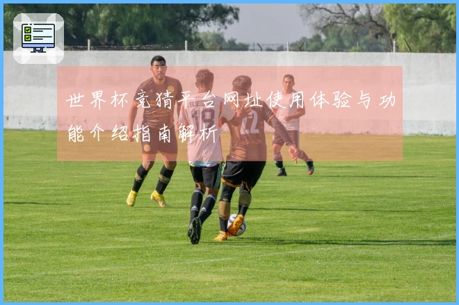 世界杯竞猜平台网址使用体验与功能介绍指南解析