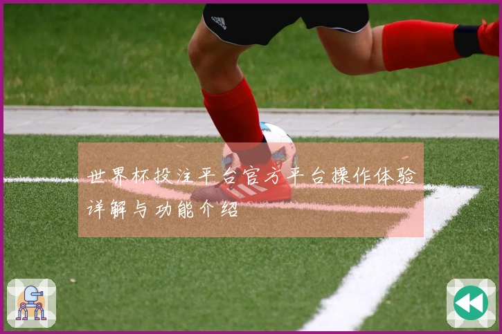 世界杯投注平台官方平台操作体验详解与功能介绍