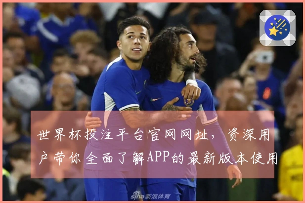 世界杯投注平台官网网址,资深用户带你全面了解APP的最新版本使用指南