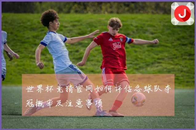 世界杯竞猜官网如何评估各球队夺冠概率及注意事项