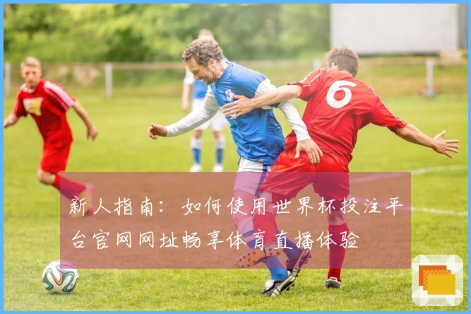 新人指南：如何使用世界杯投注平台官网网址畅享体育直播体验