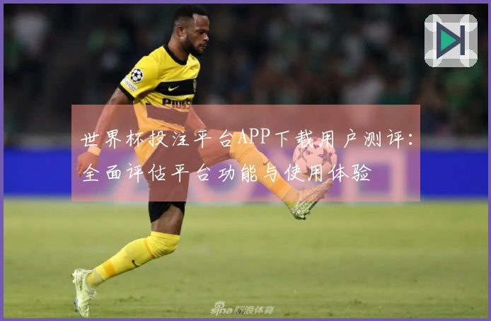 世界杯投注平台APP下载用户测评：全面评估平台功能与使用体验