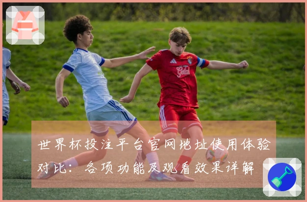 世界杯投注平台官网地址使用体验对比：各项功能及观看效果详解