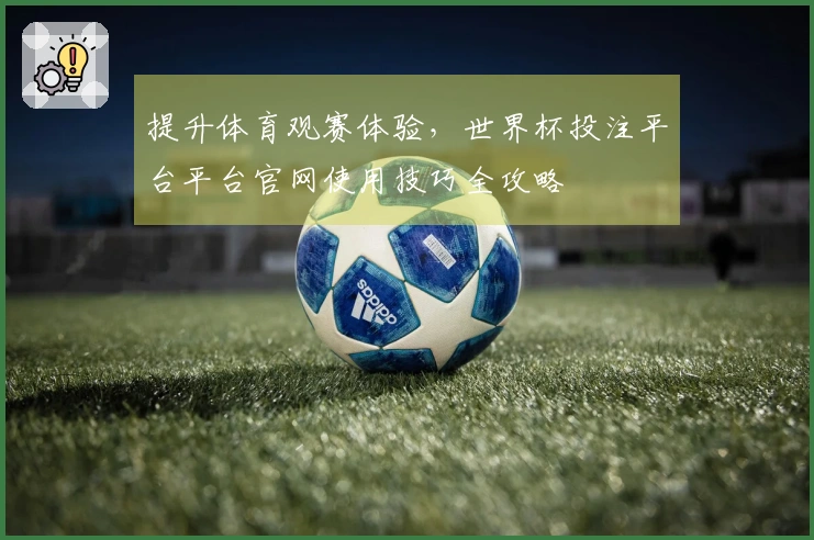 提升体育观赛体验，世界杯投注平台平台官网使用技巧全攻略