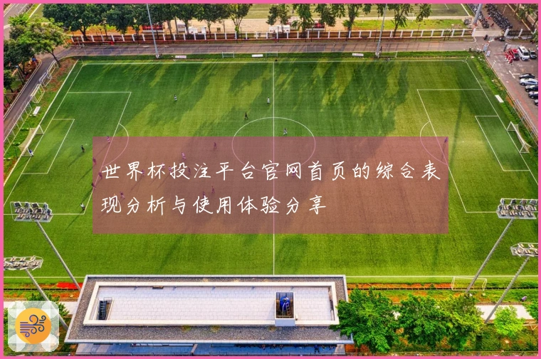 世界杯投注平台官网首页的综合表现分析与使用体验分享