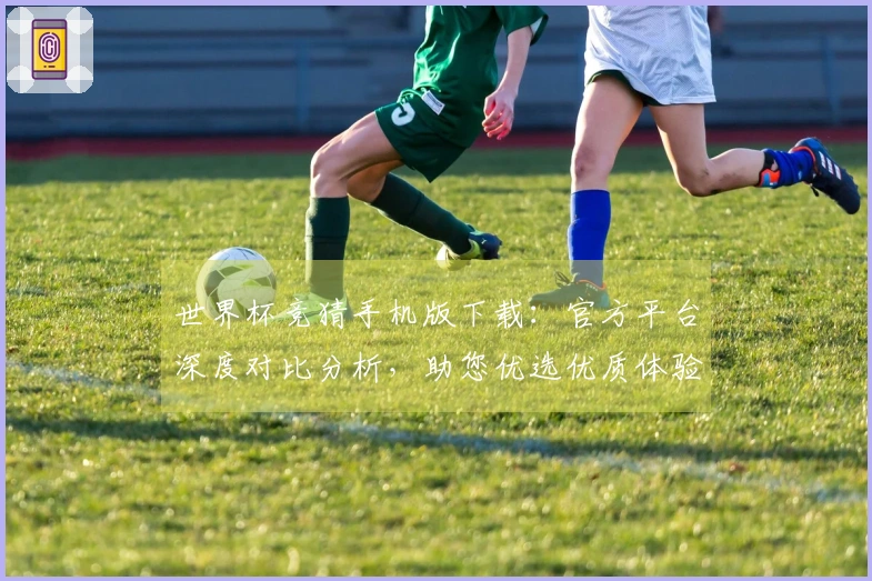 世界杯竞猜手机版下载：官方平台深度对比分析，助您优选优质体验