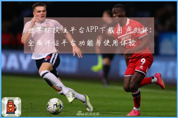 世界杯投注平台APP下载用户测评：全面评估平台功能与使用体验