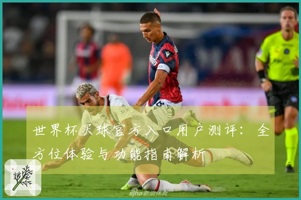 世界杯买球官方入口用户测评:全方位体验与功能指南解析