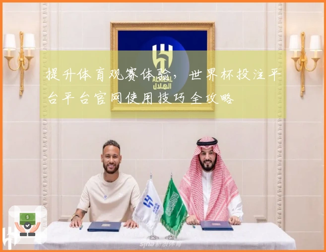 提升体育观赛体验，世界杯投注平台平台官网使用技巧全攻略