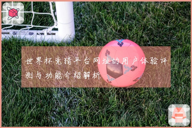 世界杯竞猜平台网址的用户体验评测与功能介绍解析
