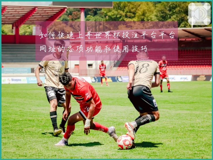 如何快速上手世界杯投注平台平台网址的各项功能和使用技巧