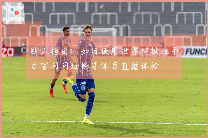 新人指南：如何使用世界杯投注平台官网网址畅享体育直播体验