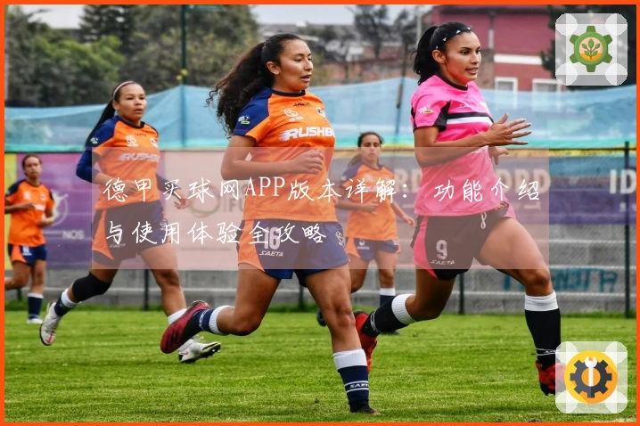 德甲买球网APP版本详解：功能介绍与使用体验全攻略