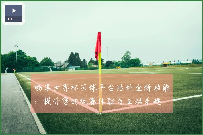 畅享世界杯买球平台地址全新功能,提升您的观赛体验与互动乐趣