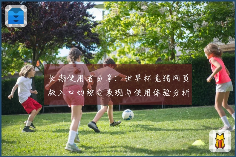 长期使用者分享：世界杯竞猜网页版入口的综合表现与使用体验分析