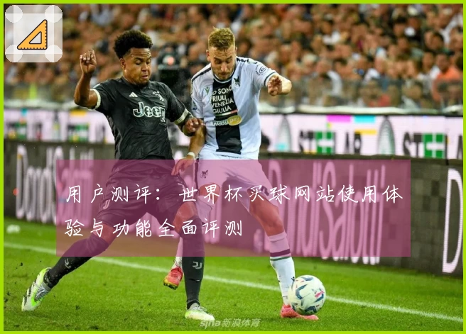 用户测评：世界杯买球网站使用体验与功能全面评测