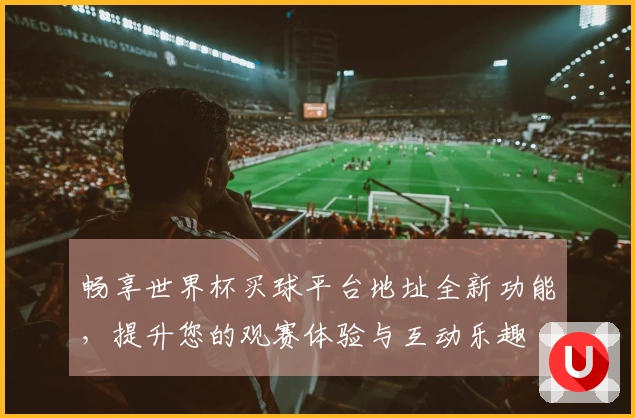 畅享世界杯买球平台地址全新功能，提升您的观赛体验与互动乐趣