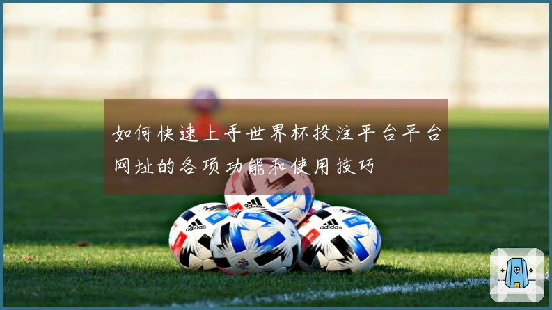 如何快速上手世界杯投注平台平台网址的各项功能和使用技巧